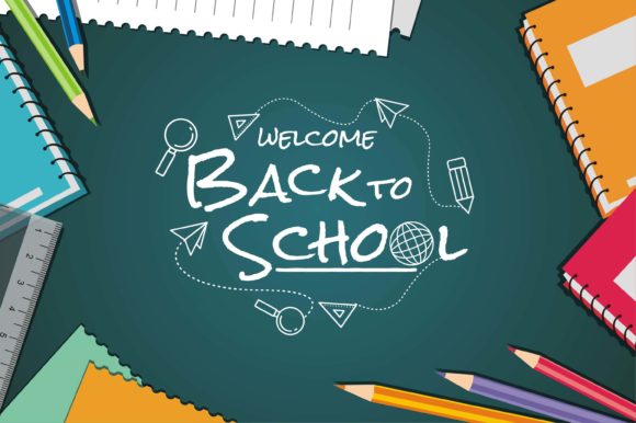 School Vector Illustration: A Designer’s Real-World Review